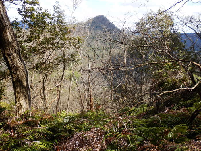 f0219710_12432641.jpg