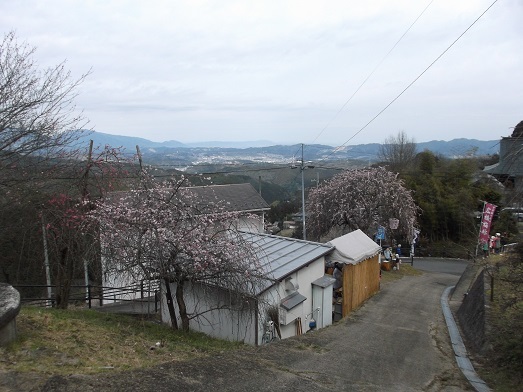 広橋梅林　梅の里山まつり_d0288411_20454885.jpg