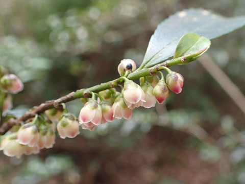 e0293913_17123260.jpg