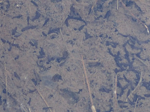 e0293913_17164825.jpg