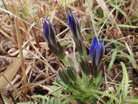 e0293913_175040.jpg