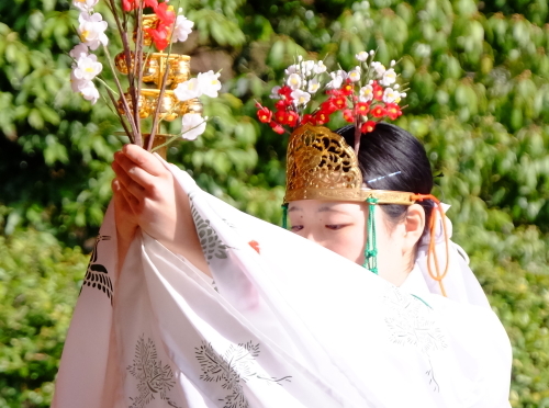 梅満開の城南宮　自然崇拝からの流れを汲む、神を迎える祈祷の祭祀_a0113718_06225301.jpg