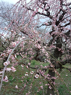 b0191418_016050.jpg