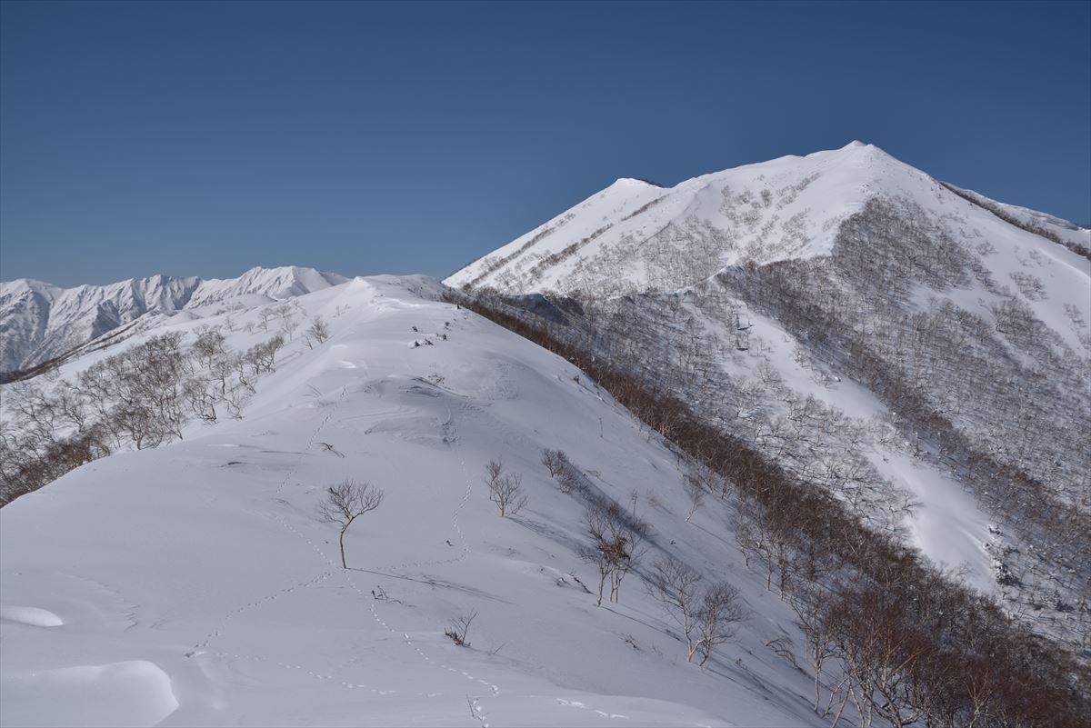 ユニ石狩岳　敗退　2016.3.13_a0145819_20225635.jpg