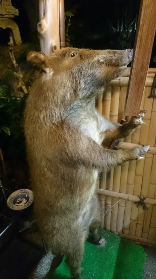 f0350423_20121574.jpg