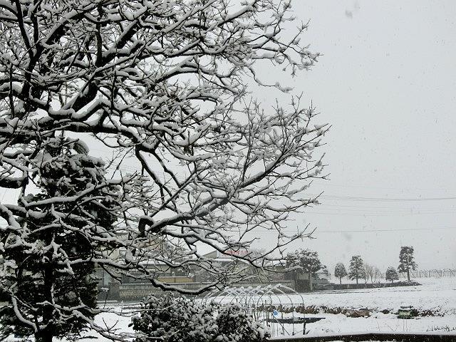 e0234924_09442998.jpg