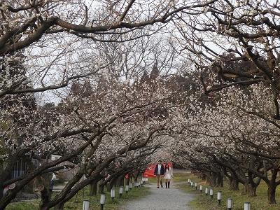 佐川美術館　寿長生の郷_b0069630_20541124.jpg