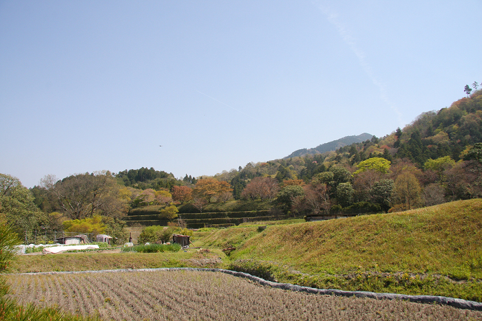 修学院離宮（後編）_b0169330_7334298.jpg