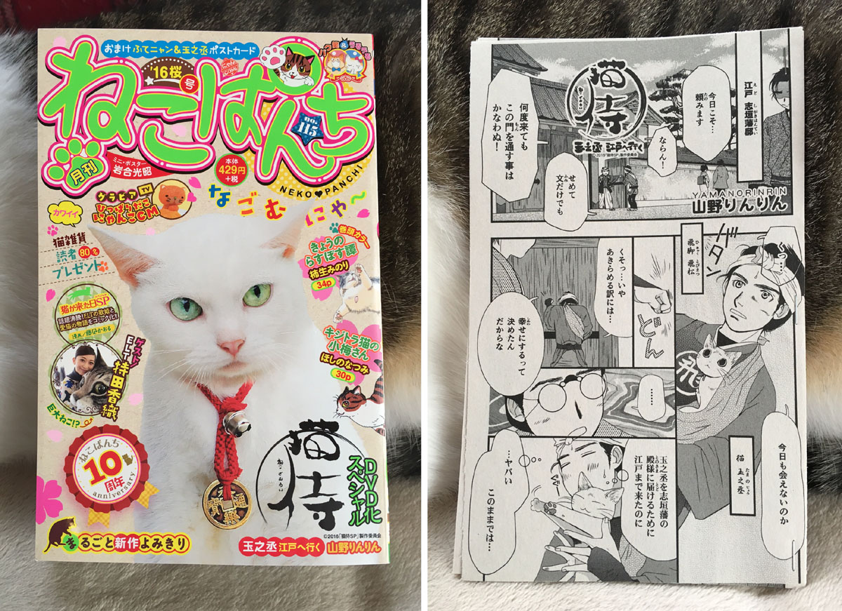 猫侍～玉乃丞　江戸へ行く　連載２回目_d0118933_1943632.jpg