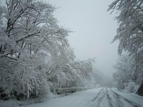 雪の六甲山(1)_b0177436_21372486.jpg