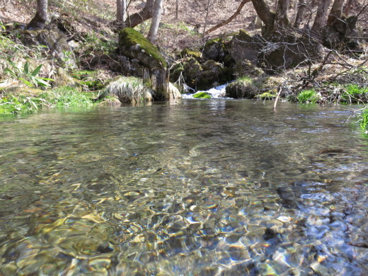 岩泉町の湧水めぐり ~私もお気に入りの湧水・天王水~_b0206037_08562962.jpg