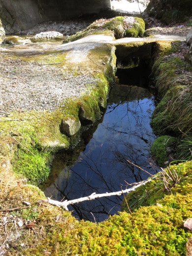 岩泉町の湧水めぐり ~私もお気に入りの湧水・天王水~_b0206037_08575230.jpg