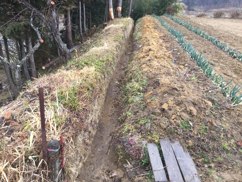 福島県相馬市_f0031037_18103360.jpg