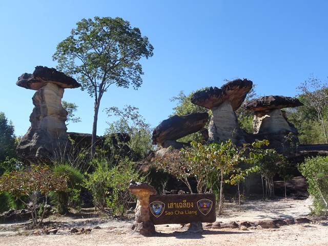 Pha Taem National Park☆ウボンラ-チャターニー_e0182138_0552264.jpg