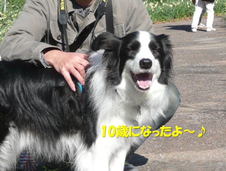 c0147241_2326882.jpg