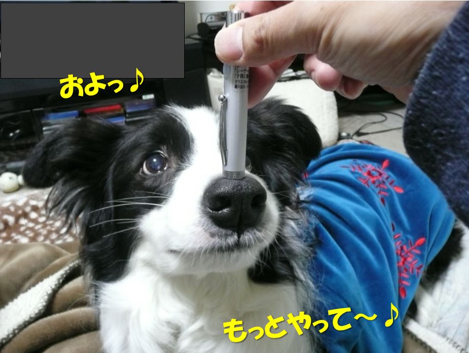 c0147241_2327147.jpg
