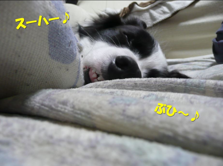 c0147241_23281737.jpg