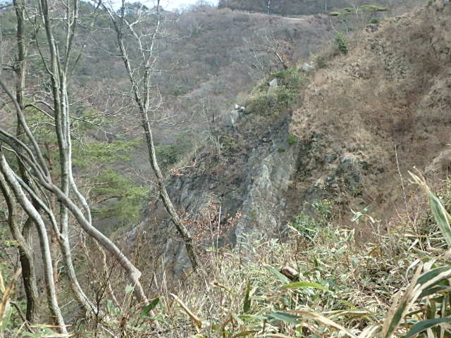 早春の六甲山　瑞宝寺尾根Ⅱ_f0334143_2210111.jpg