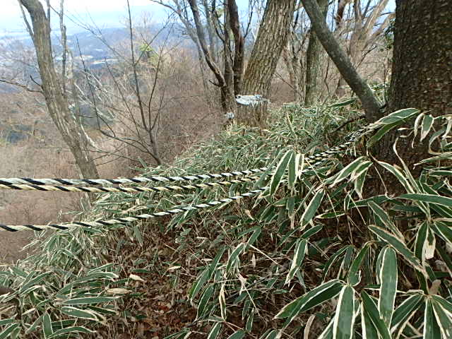 f0334143_2281357.jpg