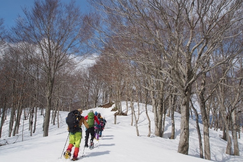 2016/3/12 経塚山から朴ノ木峠周回_b0189948_20254075.jpg