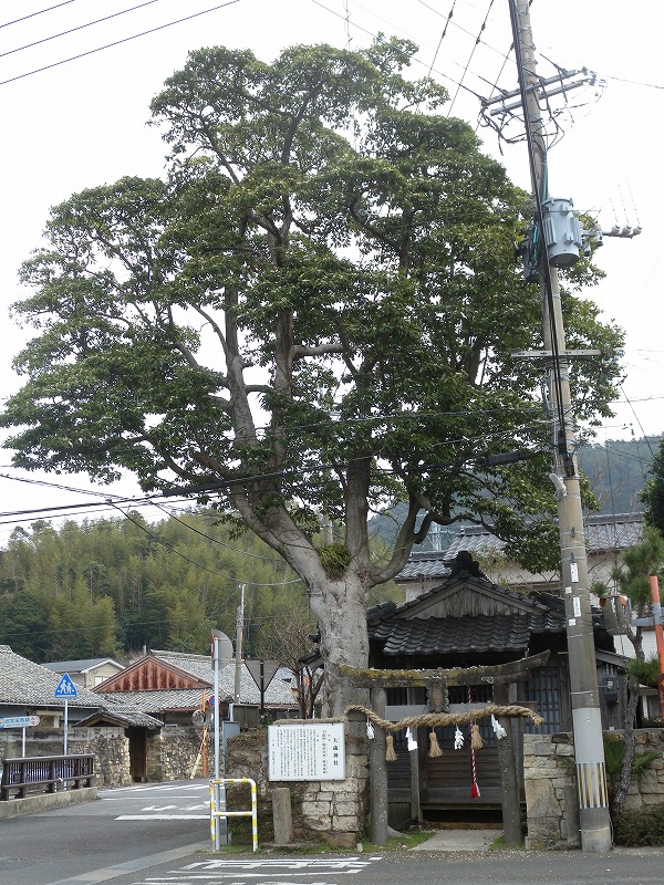 b0104861_22214319.jpg