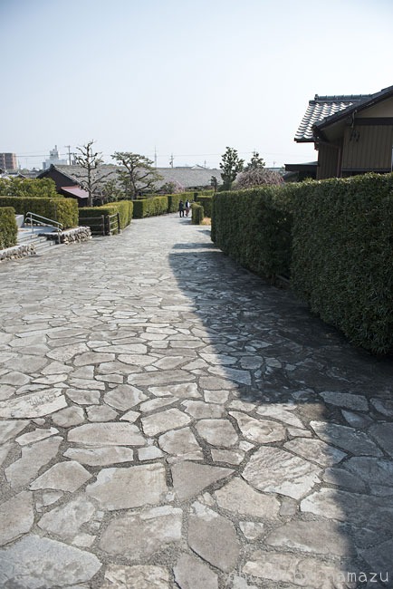 b0280176_147633.jpg