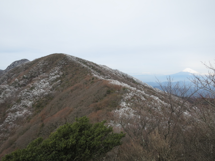 b0339488_20401776.jpg