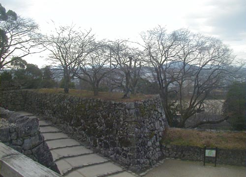 d0053294_1453166.jpg