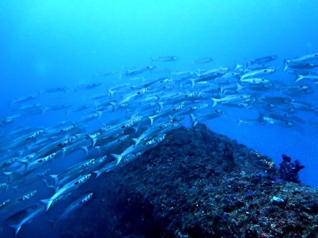 e0115199_20105192.jpg