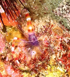 e0115199_20111113.jpg