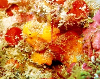 e0115199_20111597.jpg