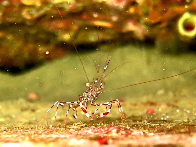 e0115199_20113355.jpg