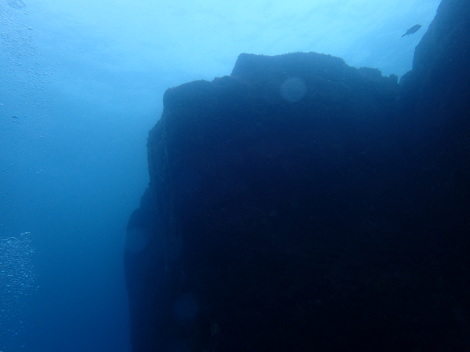 e0115199_20295030.jpg