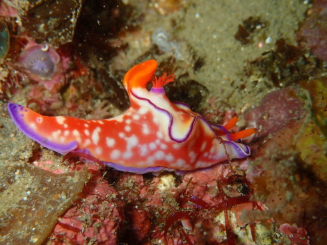 e0115199_20543941.jpg