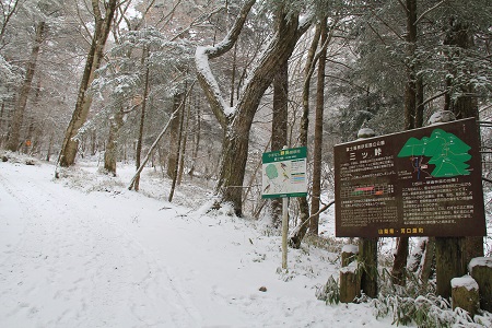 a0158702_15212388.jpg