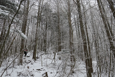 a0158702_15213774.jpg