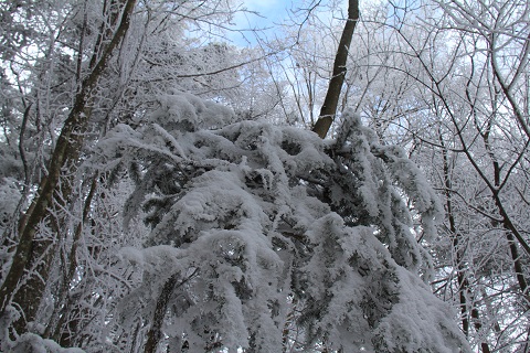 a0158702_15215037.jpg