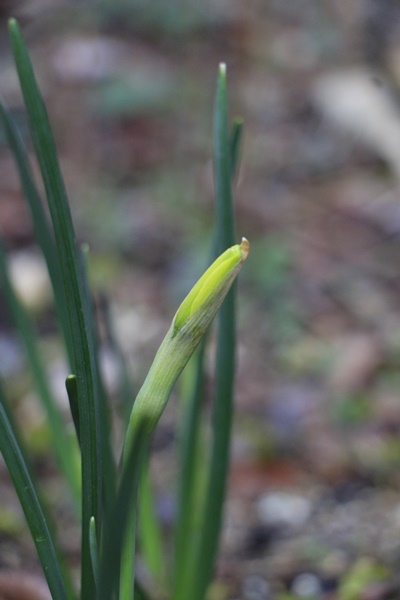 a0123003_923350.jpg