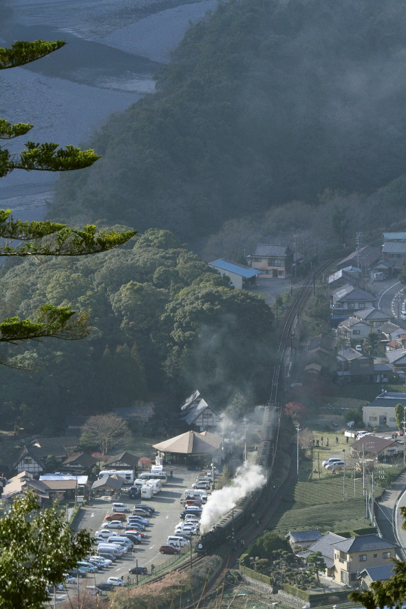 山影からスポットライトへ　- 2016年早春・大井川 -     - ねこの撮った汽車