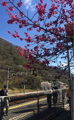 岡山尾道おでかけパスの旅〜前編_c0291710_16305824.jpg