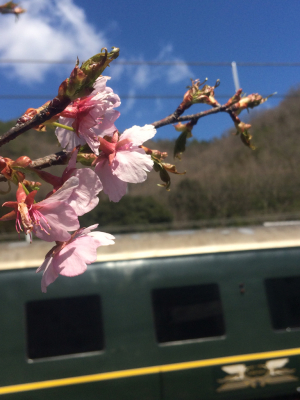 岡山尾道おでかけパスの旅〜前編_c0291710_16310093.jpg