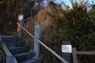 d0264710_2337212.jpg