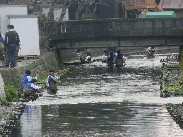 いよいよ春が目に見えてきた 今年最初の「田宿川の川そうじ」_f0141310_7261730.jpg