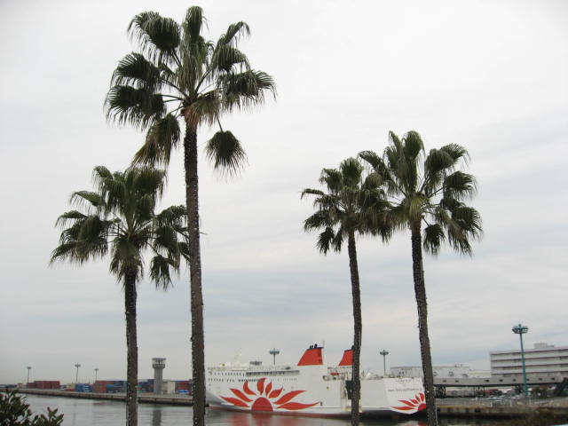 c0062511_2031536.jpg