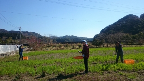 馬日より♪畑日より♪_b0187620_21040982.jpg