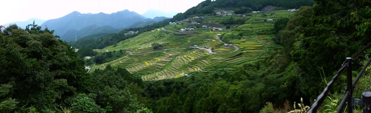 伊勢・美濃編(10):丸山千枚田(14.9)_c0051620_6351569.jpg