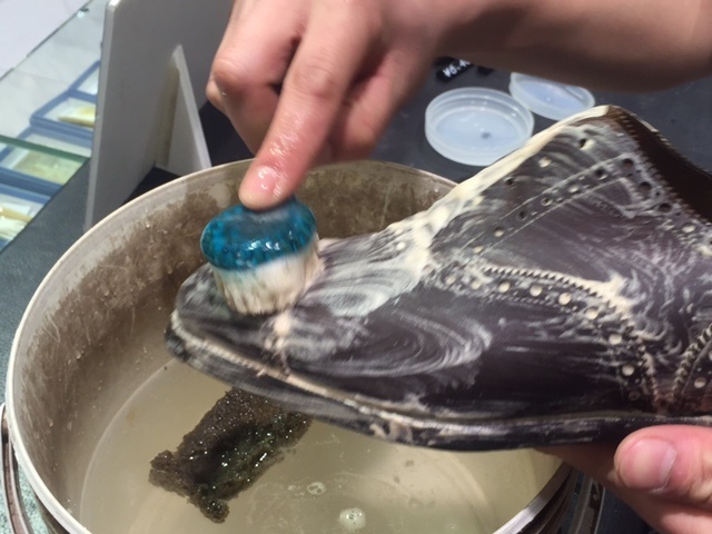 革靴は洗えるんです!!_b0226322_16581906.jpg