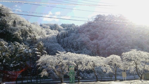 雪景色♪d(^-^)_d0167225_12345203.jpg
