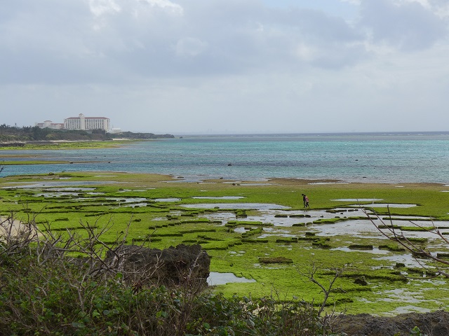 e0303726_14411728.jpg