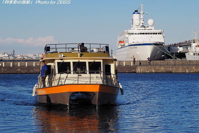 a0195032_20492184.jpg